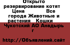 Открыто резервирование котят › Цена ­ 15 000 - Все города Животные и растения » Кошки   . Чукотский АО,Анадырь г.